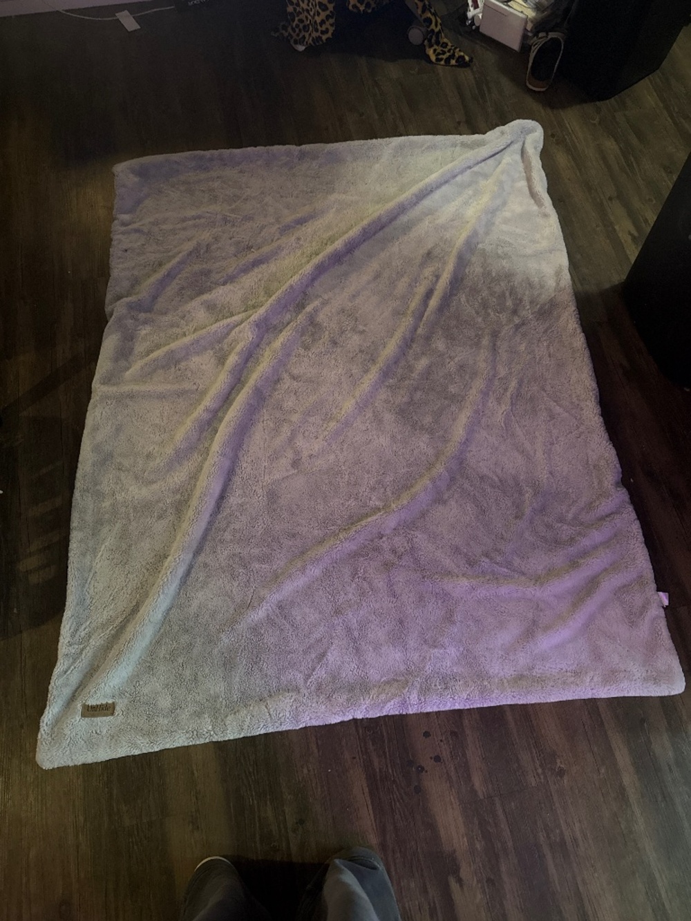 blanket